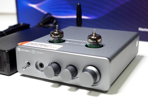 Fosi audio t20x mkii - mkii, tpa3255